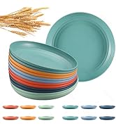 12 Pcs Wheat Straw Plates, 9.8 inch Unbreakable Dinner Plates Set, Reusable Hard Plastic Plates, ...