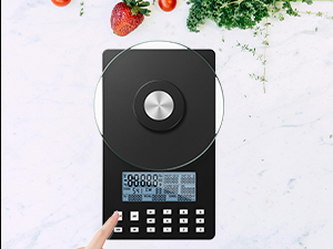 Food Scale