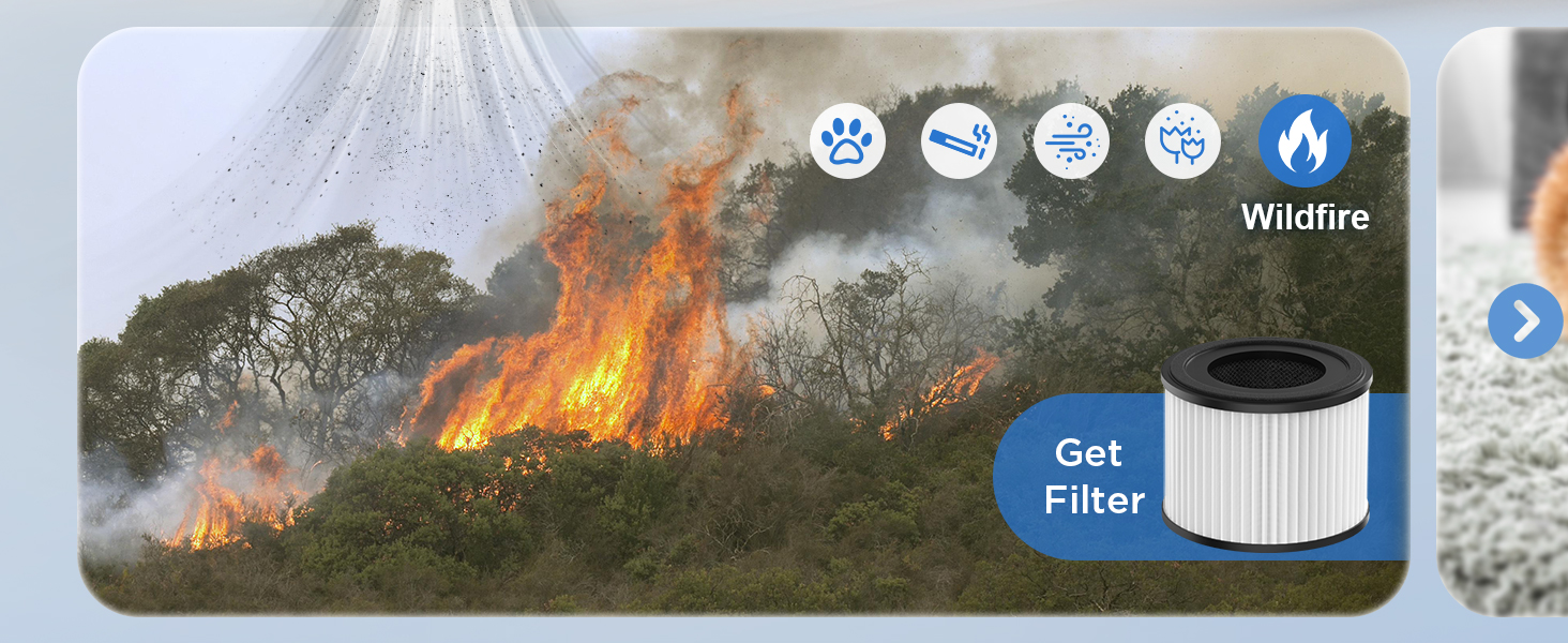 air purifiers for home large room