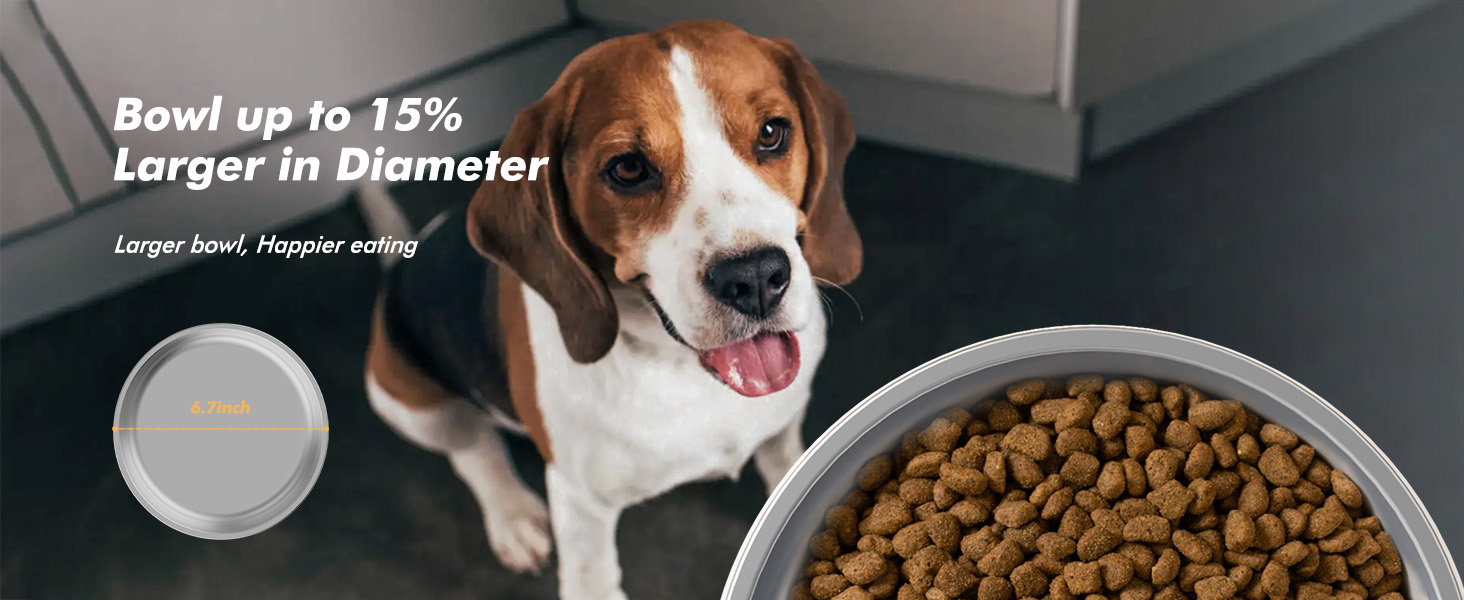 automatic dog feeder
