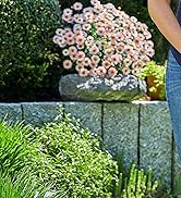 Houselife Cordless String Trimmer Compatible with Dewalt 20V Max Battery 3 in1 Weed Wacker with A...