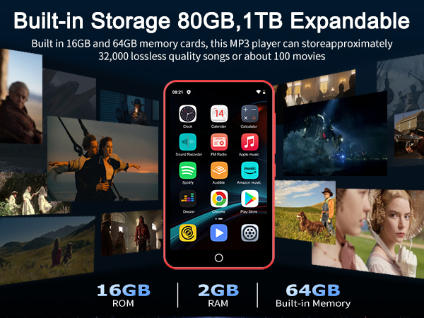 MP3 Player with Bluetooth and WiFi