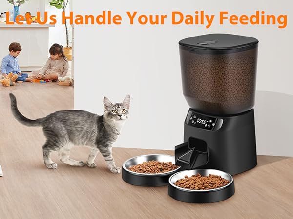 automatic cat feeder
