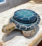Turtle Coaster