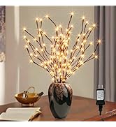 PEIDUO 6PK Lighted Willow Branch 30Inch 6PK 120L LED Pathway Lights for Christmas Room Decoration...
