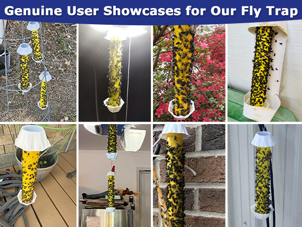 fly traps outdoor