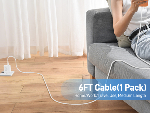 60W 6FT Cable