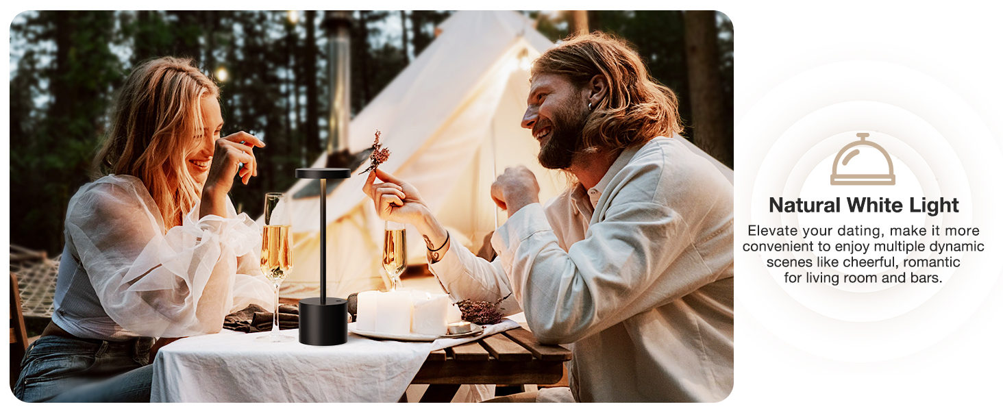 Battery Operated Lamp