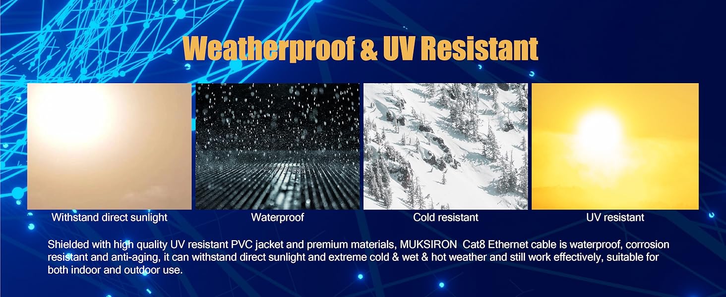 Ethernet Cable 100 ft