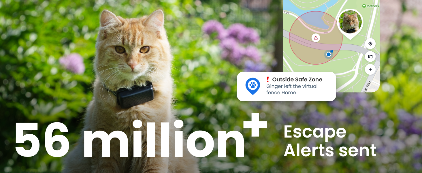 cat gps tracker