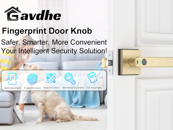 gold fingerprint door lock