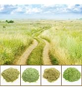 Warmtree 4Pcs Static Grass Mixed 3mm Diorama Grass Terrain Powder Model Grass Diorama Supplies Te...