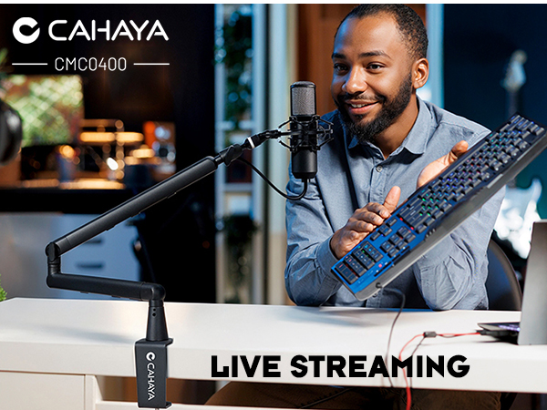 Live streaming mdesk mic arm