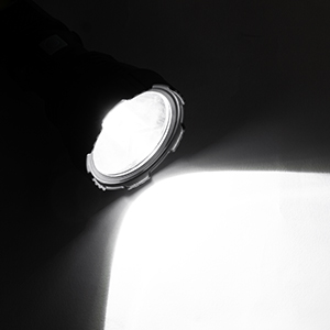 portable handheld flash light