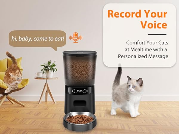 dispensador de comida para gatos