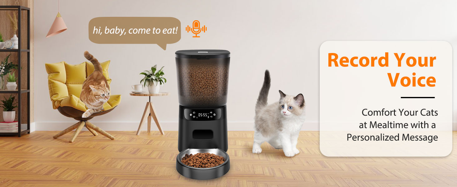 dispensador de comida para gatos