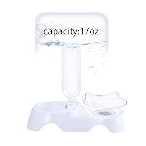 cat food water bowl