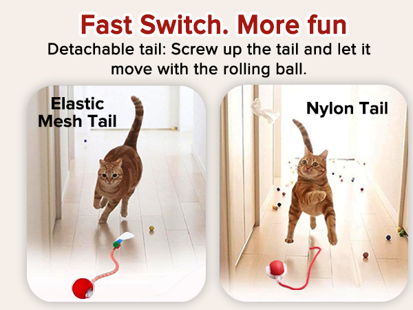 Interactive cat toy ball