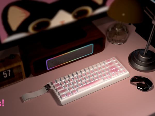 pbt doubleshot keycaps