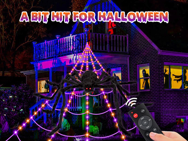 spider web decoration