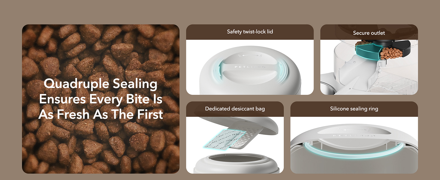 automatic cat feeder