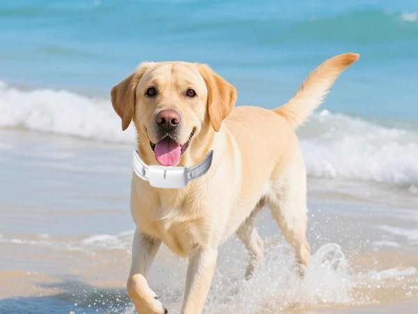 IP67 Waterproof Collar