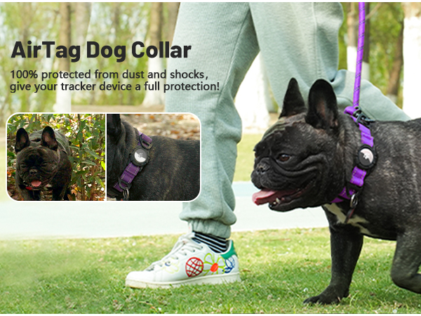 Dog Collar with AirTag Holder