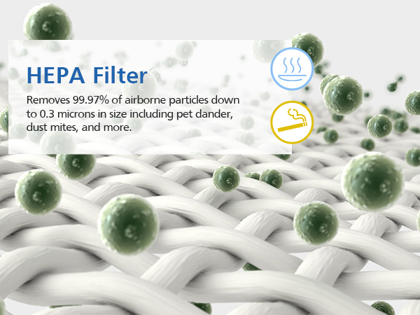 Hepa Filter