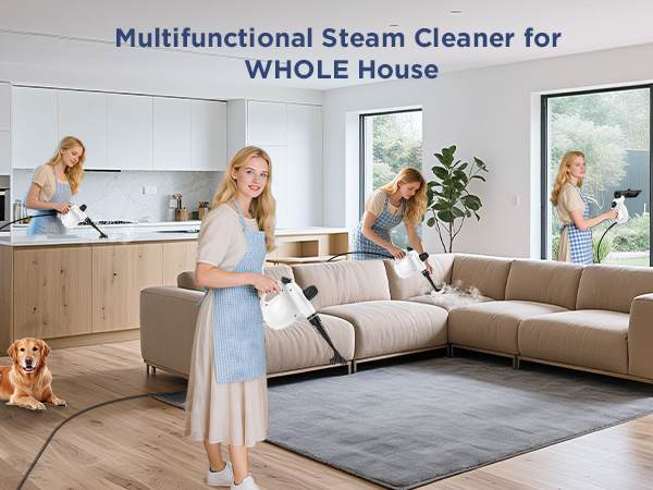 steam cleaner labigo