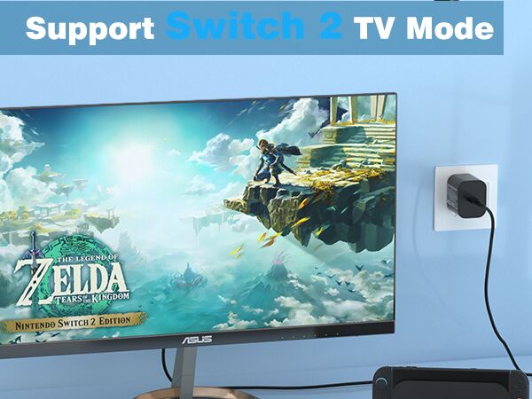 switch charger adapter