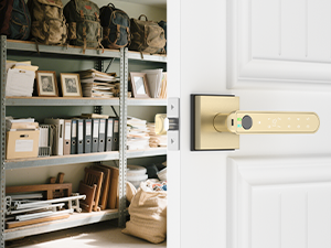 brass indoor finger print door handle