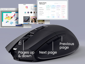 mouse