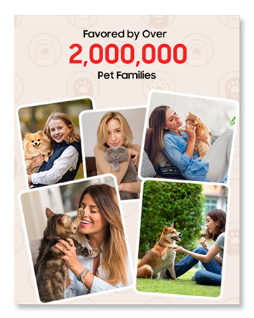 automatic cat feeder and waterer