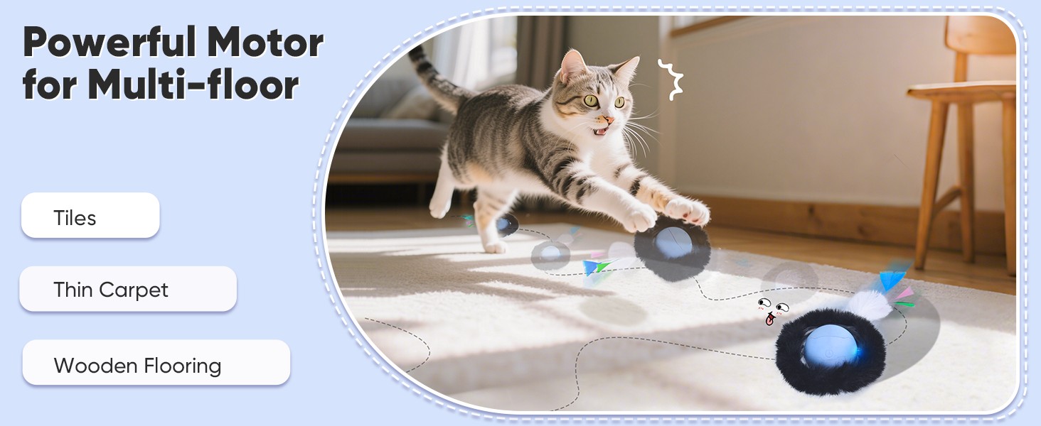 interactive cat toy