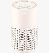 air purifiers for the home 