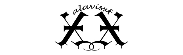 alavisxf xx cd case