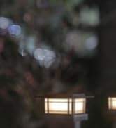 6 Pack Solar Post Lights