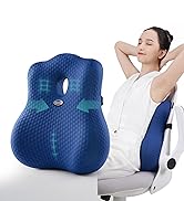 seeknow lumbar support pillow ?
