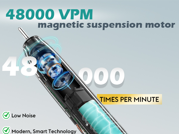 rechargeable sonic toothbrush