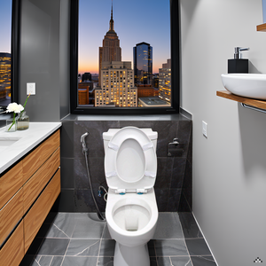 A bathroom vanity with a toilet in the background.