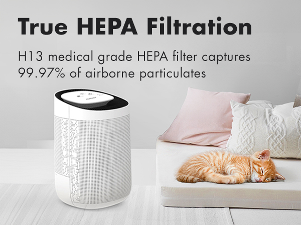 True H13 medical grade HEPA filtration, captures 99.97% of aribone particulates
