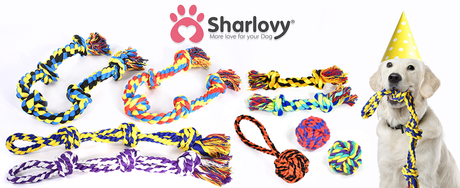 dog toys 9p