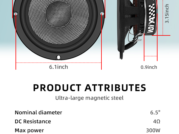 6.5-Inch Speaker