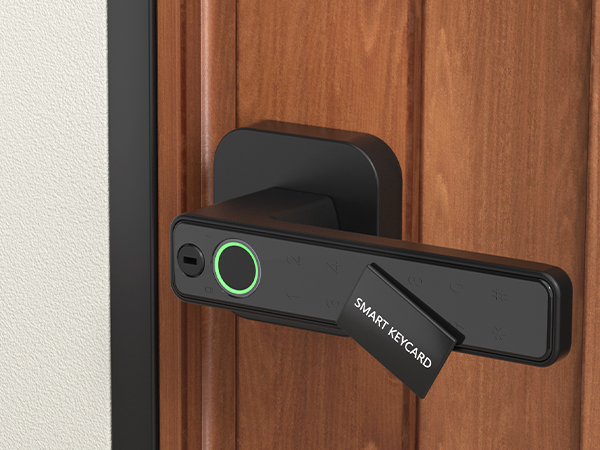 Fingerprint door Knob