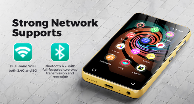 MP3 player with spotify and Pandora