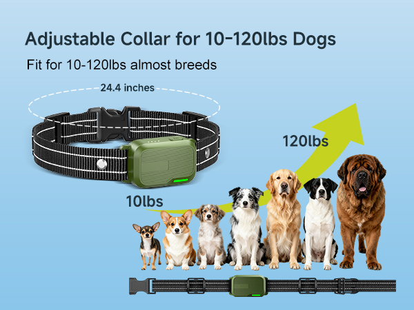 dog shock collar for large dogs
