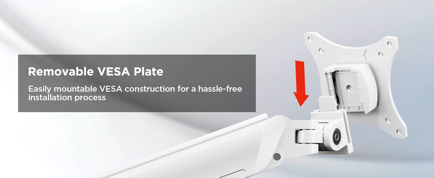 removable vesa plate