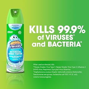 bacteria