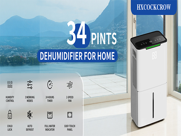 basement dehumidifier-1