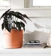 Mathers 10&amp;amp;#34; planter in Muted Terra Cotta color